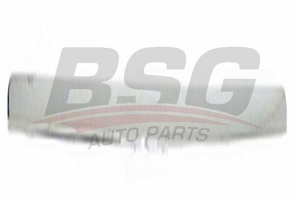 MOTOR KAPUT ÇITASI ÜST - BSG - 9T16 8666 BCSMAS