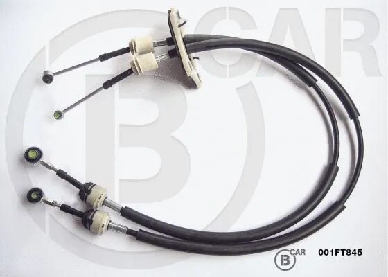 VITES TELI - CAVO - 55247553