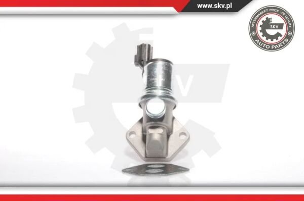 ROLANTI AYAR VALFI - BSG - XS6U 9F715 AA