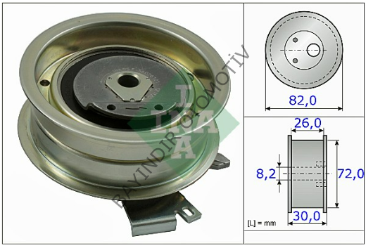 EKSANTRIK GERGI RULMANI - INA - 06A109479C