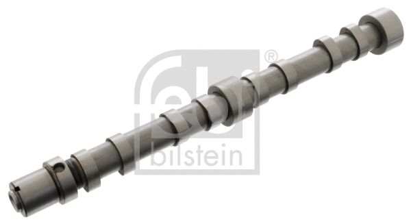 EKSANTRIK MILI EGZOS - BSG - 504096183