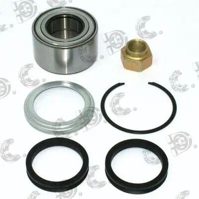 PORYA  - NTN-SNR - 46776762
