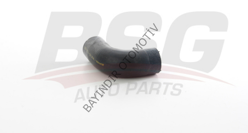 SU HORTUMU - BSG - 504011419