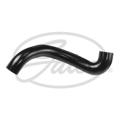 TURBO HORTUMU - RAPRO - 5860757