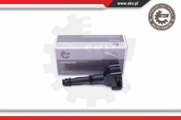 ATESLEME BOBINI - BERU - 99660210400