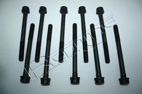 SILINDIR KAPAK SAPLAMASI - ELRING - 5607953