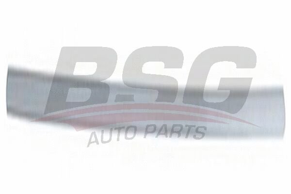 KAPI BANDI ÖN SOL - BSG - 1S71 F20939 ACXWAA