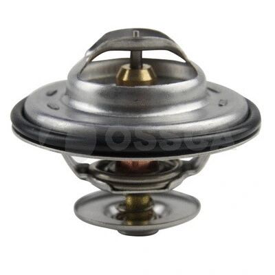 TERMOSTAT - BSG - 069121113