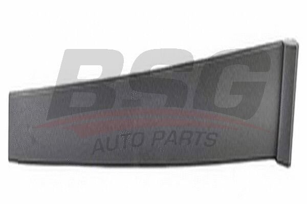 KAPI DIREK ÇITASI ARKA SAG - BSG - 7N11 N25458 AA