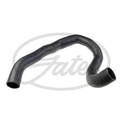 TURBO HORTUMU - IBRAS - 1302763