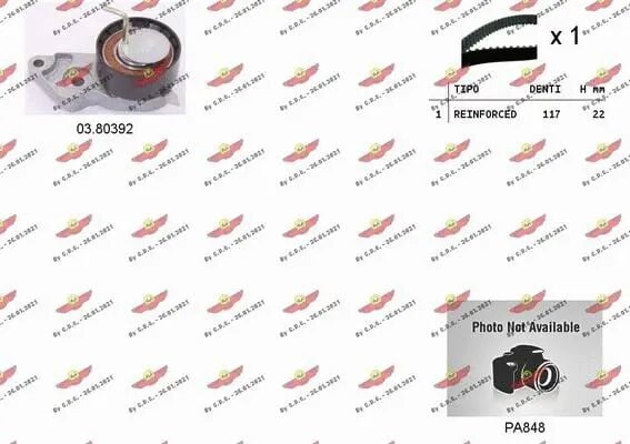 DEVIRDAIM - DAYCO - YS6G 8591 A1D