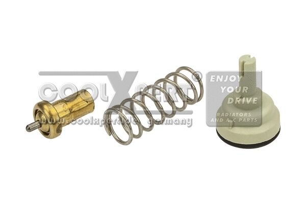 TERMOSTAT - BEHR-T - 03C121110P