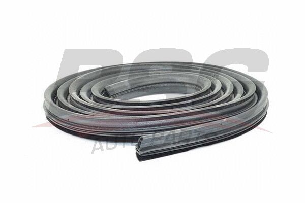 SÜRGÜLÜ KAPI FITILI - BSG - BK21 V253A10 AF